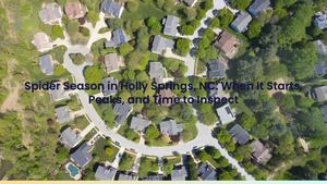Spider Season in Holly Springs, NC: When It Starts, Peaks, and Time to Inspect