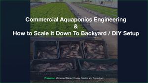 Commercial Aquaponics System Course