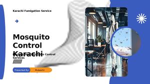 Mosquito Control Karachi Professional Mosquito Control Services [ Karachi Fumigation Service ]