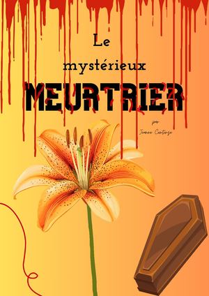 Le mystérieux meurtrier