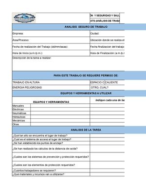 Formato Ats Excavaciones Y Pilas