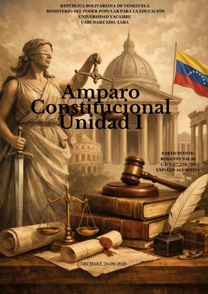 Revista Sobre Amparo Constitucional Rosanny