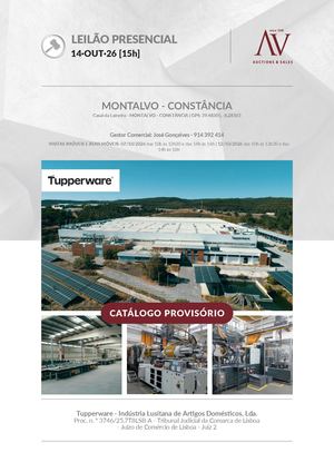 Catálogo do leilão da Tupperware