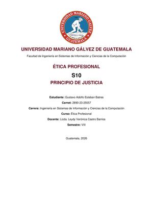 S10 Principio De Justicia Gustavo Esteban