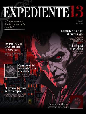 Expediente 13