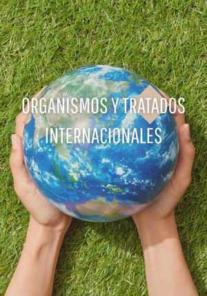 Revista Bricolaje Moderna Crema
