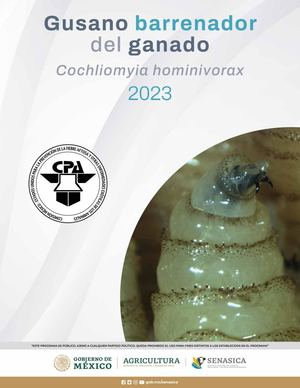 Informe Gbg