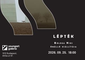 LÉPTÉK - Bolega Niki önálló kiállítása