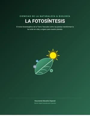 La Fotosintesis