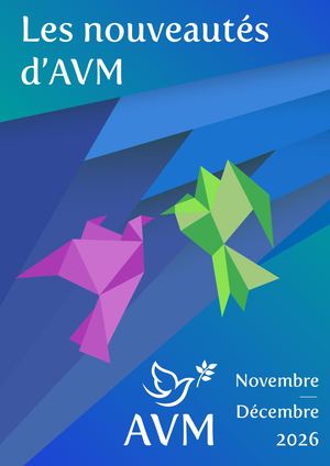 Calameo Catalogue Avm Diffusion P5 2026