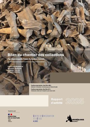 Chantier des collections, rapport 2025