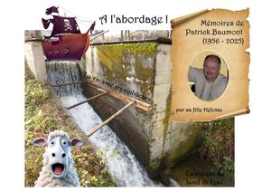 Le Livre De Patrick