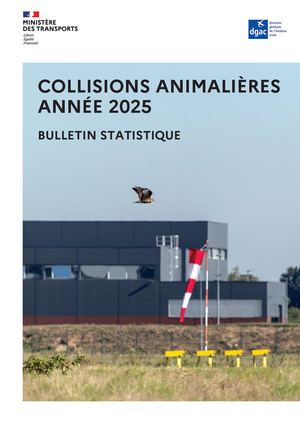 Collisions animalieres 2025 bulletin statistique