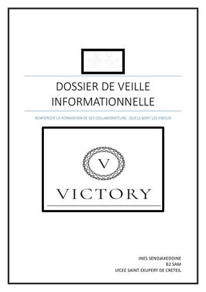 Dossier De Veille Informationnelle