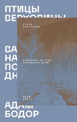 «Птицы Верховины» [фрагмент]