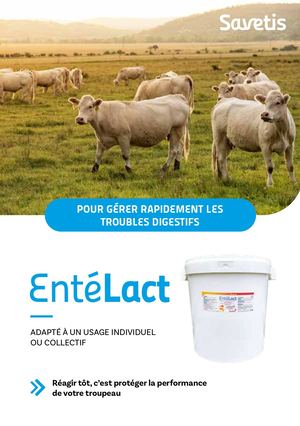Leaflet Entélact FR