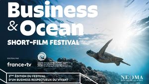 Séminaire Business & Ocean 2026 NEOMA - Photo Album