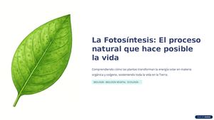 La Fotosintesis El Proceso Natural Que Hace Posible La Vida