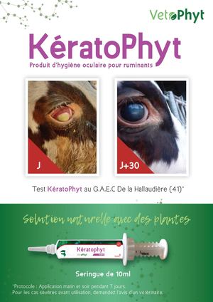 Leaflet Keratophyt FR