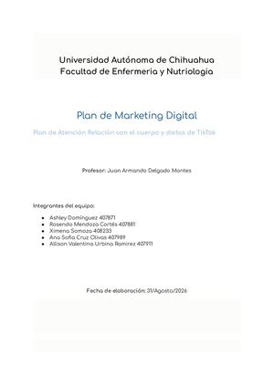 Estructura De Un Plan De Marketing Digital