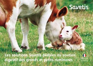 Remis de visite Ruminants FR