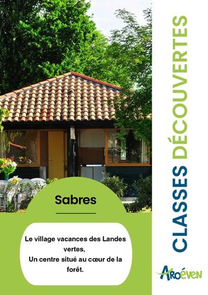 Présentation Sabres