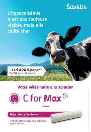 Affiche C for Max FR
