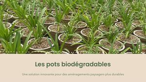 Support Les Pots Biodégradables