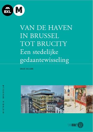 His 24_ Ch. Deligne, Van de haven in Brussel tot brucity: Een stedelijke gedaantewisseling