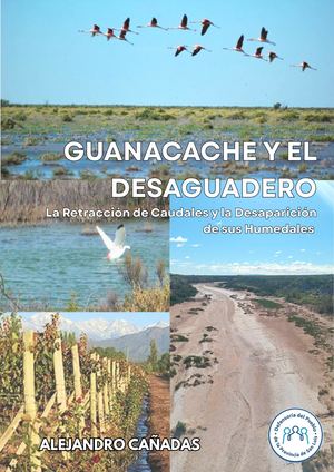 Guanacache Y El Desaguadero La Retraccion De Caudales Y Desaparicion De Sus Humedales