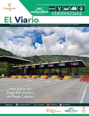 El Viario 39