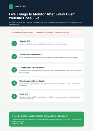Five Things to Monitor After Every Client Website Goes Live