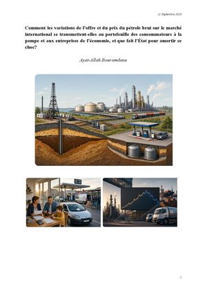 Comment les variations de l’offre et du prix du pétrole brut sur le marché international se transmettent-elles au portefeuille des consommateurs à la pompe et aux entreprises de l’économie, et que fait l’État pour amortir ce choc?