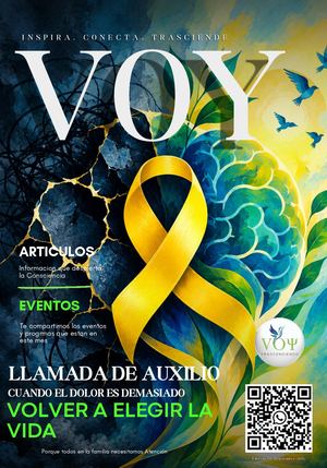 Revista Voy Ed 15 2026