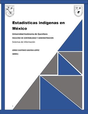 Mexico Y Indigenas Jggl