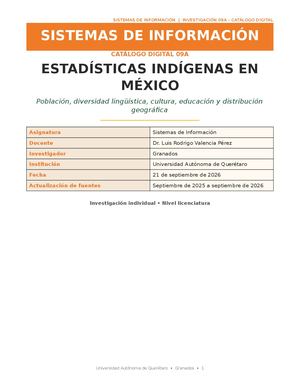 Investigacion Estadisticas Indigenas Mexico Granados