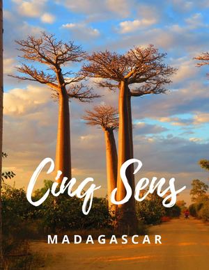 Madagascar FR