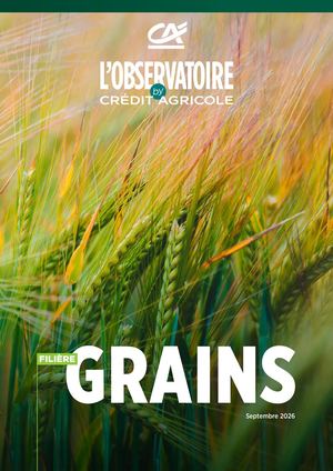 CASA-L'Observatoire Digital - Spécial Grains