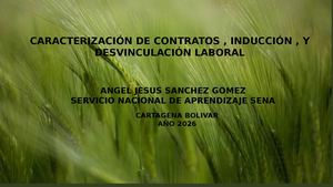Trabajo Angel