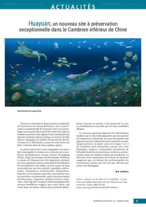 Actualités