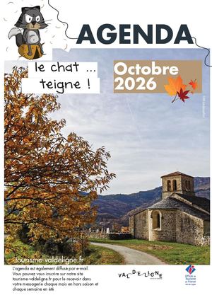 Chat Teigne octobre