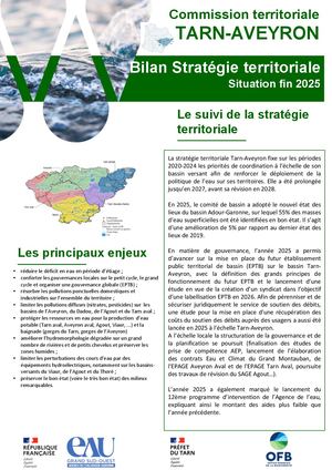 Bilan 2025 stratégie territoriale Tarn Aveyron